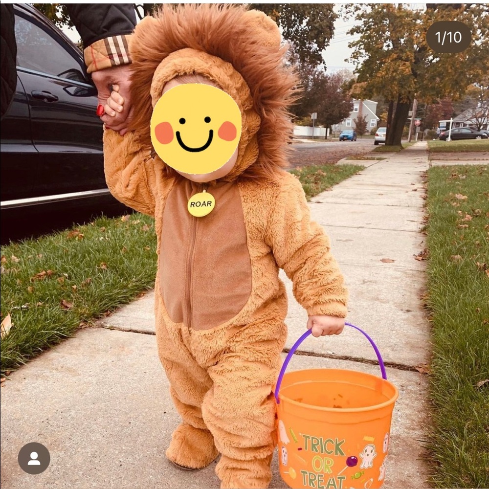 Lion costume